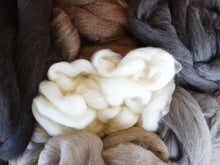 Load image into Gallery viewer, Jamieson & Smith Shetland - 7 colors, www.skyloomweavers.com