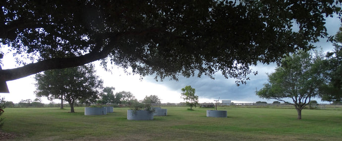 Storm on the Horizon