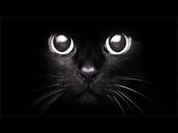 Happy Friday the 13th