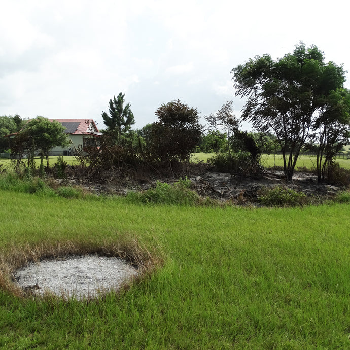 The Burn Pile