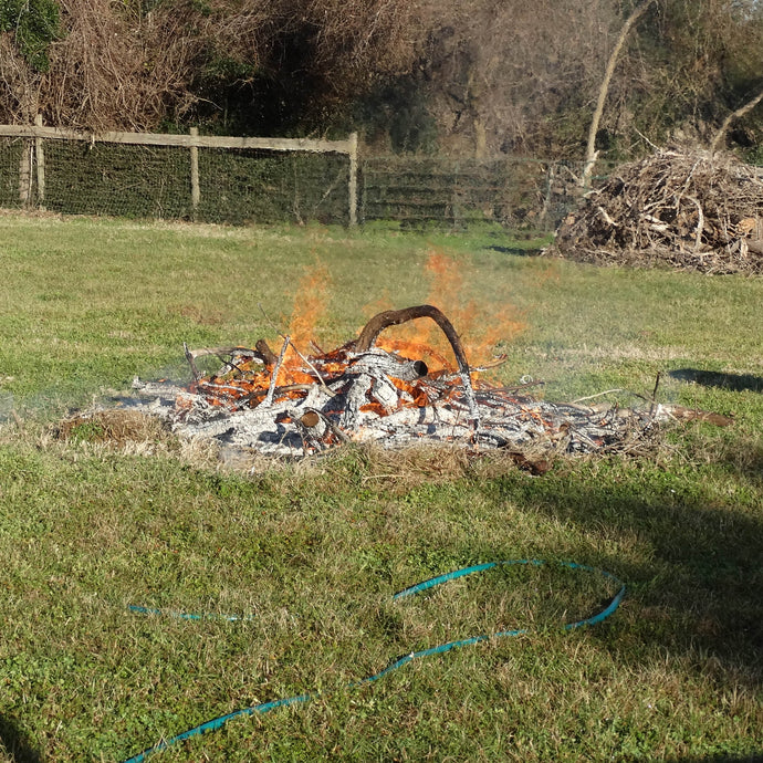 An Early Morning Burn Pile