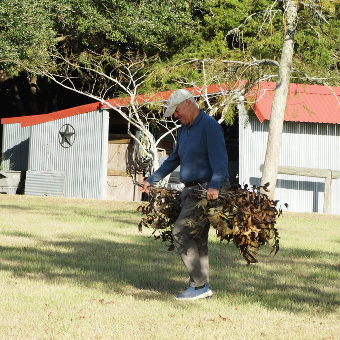 Fall