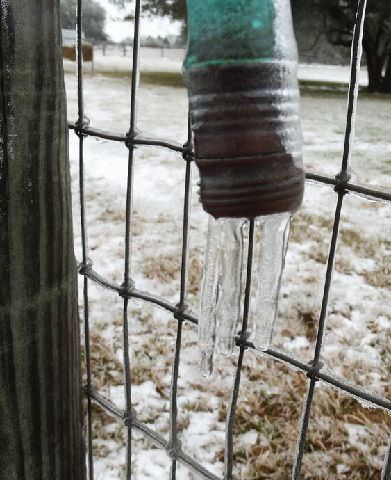 The Big Freeze