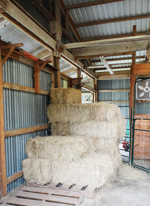 6 Bales