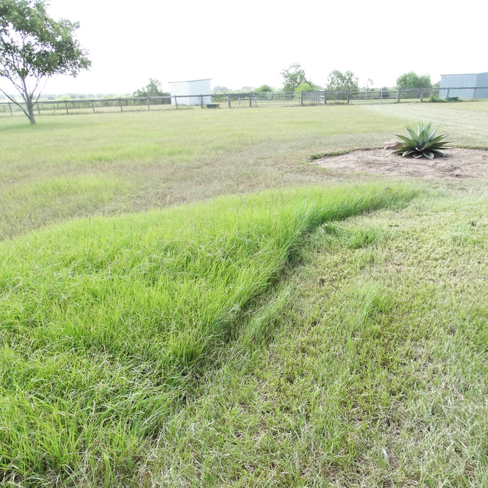 Mowing