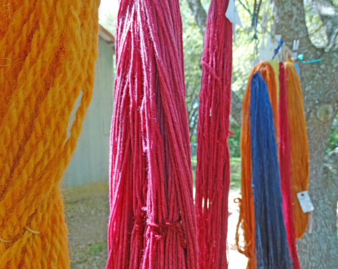Natural Dye Workshop
