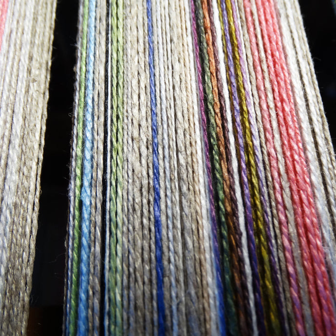 My New Warp