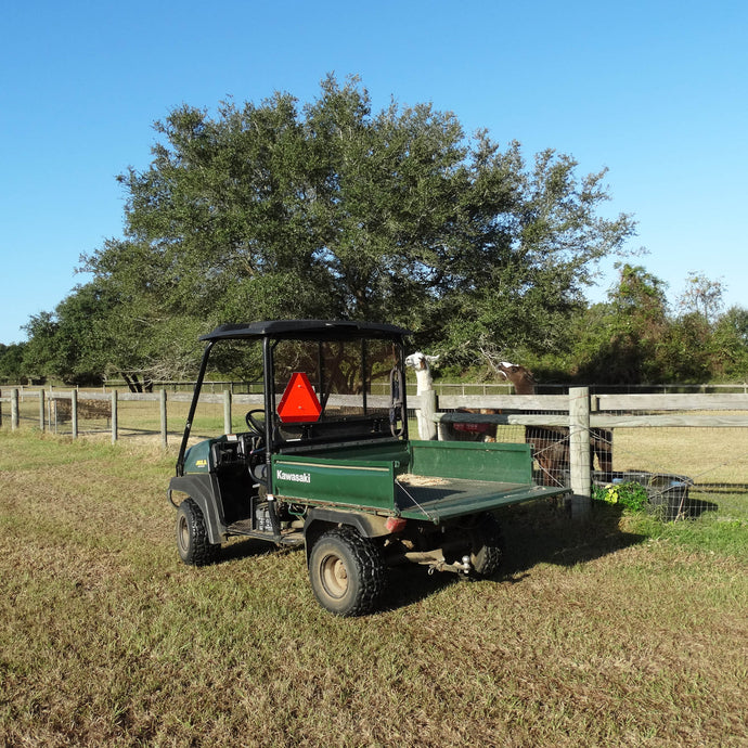 Parking in the Shade