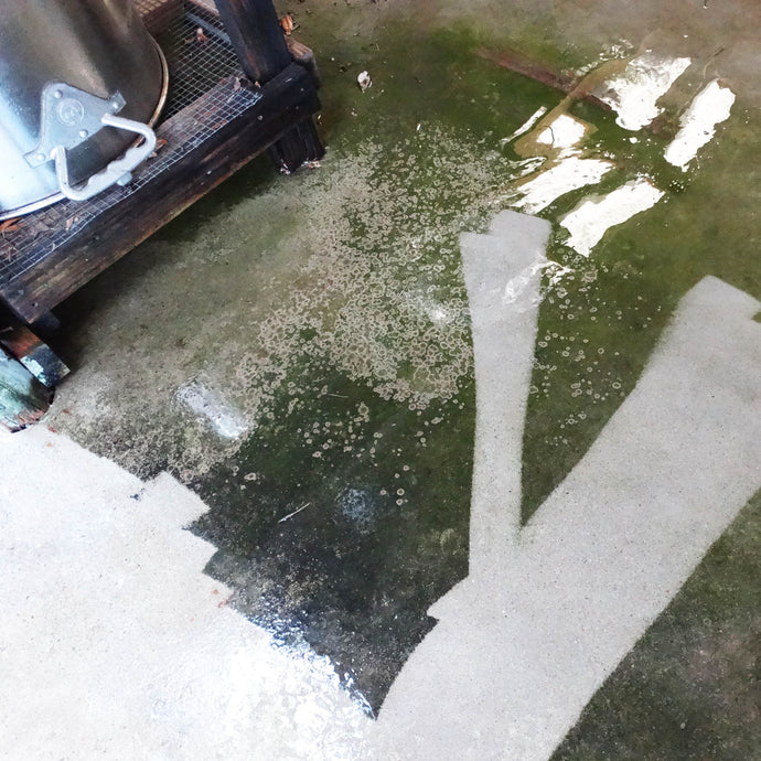 Power Washer