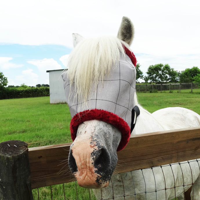 Super Pony