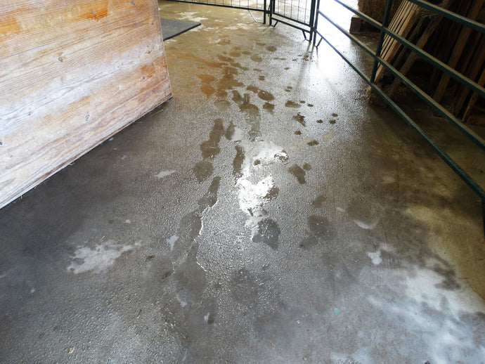 Wet and Dry