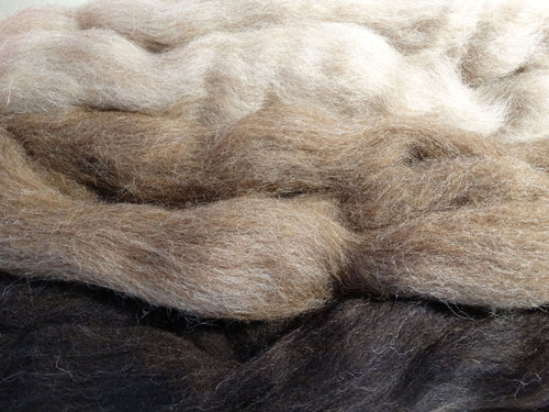 Jamieson & Smith Shetland - Black, Moorit & Light Fawn, www.skyloomweavers.com